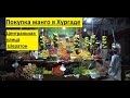 Титаник Роял Хургада Где купить манго в Хургаде?