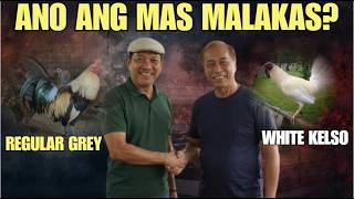 Kanino Ka Mas Kampante? Sa Regular Grey Ni Lancey? O White Kelso Ni Biboy?
