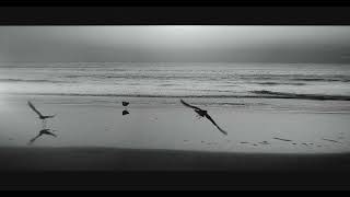 "My Beach" IMDB 2024