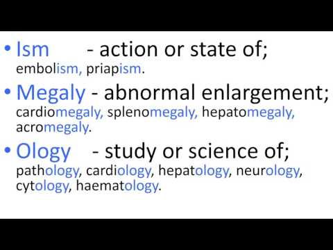 Video: Lub prefix stasis txhais li cas hauv biology?