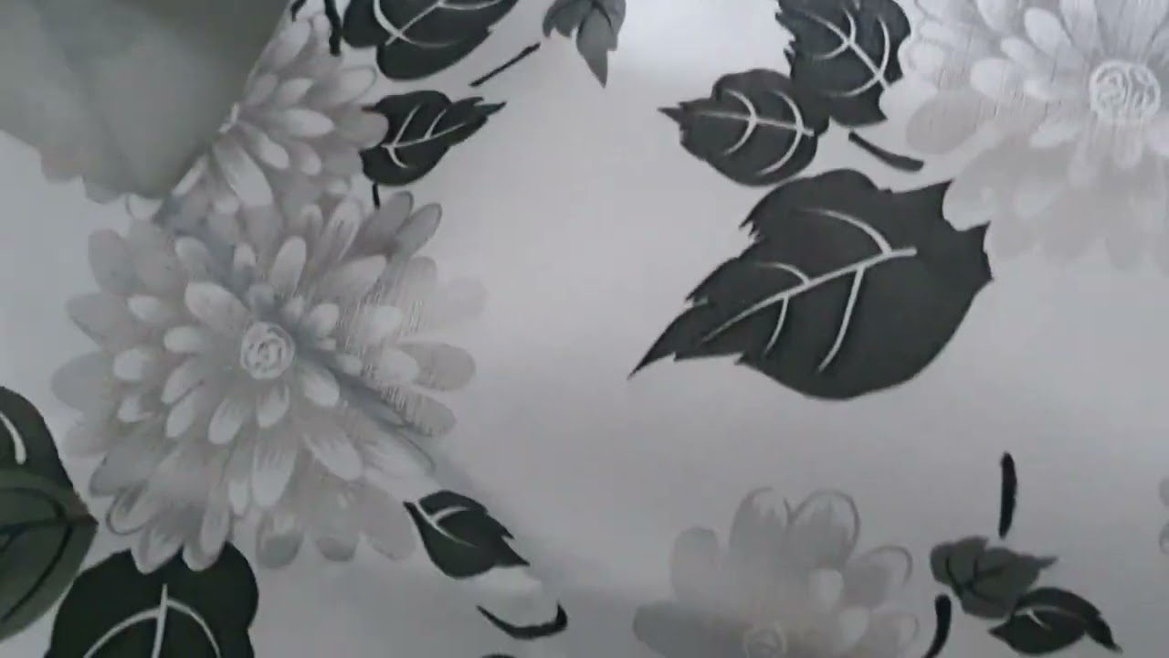 Samsung Fully Automatic 7Kg AI Machine Cover Review