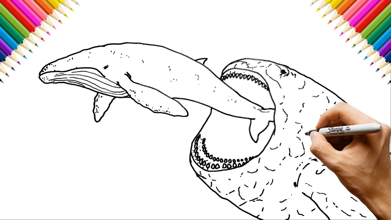 How to draw Bloop vs Whale Step by Step