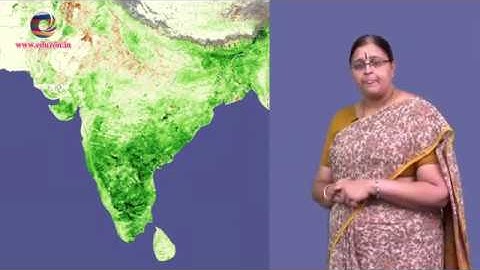 Reading and Making Maps || 6th Class Social Studies