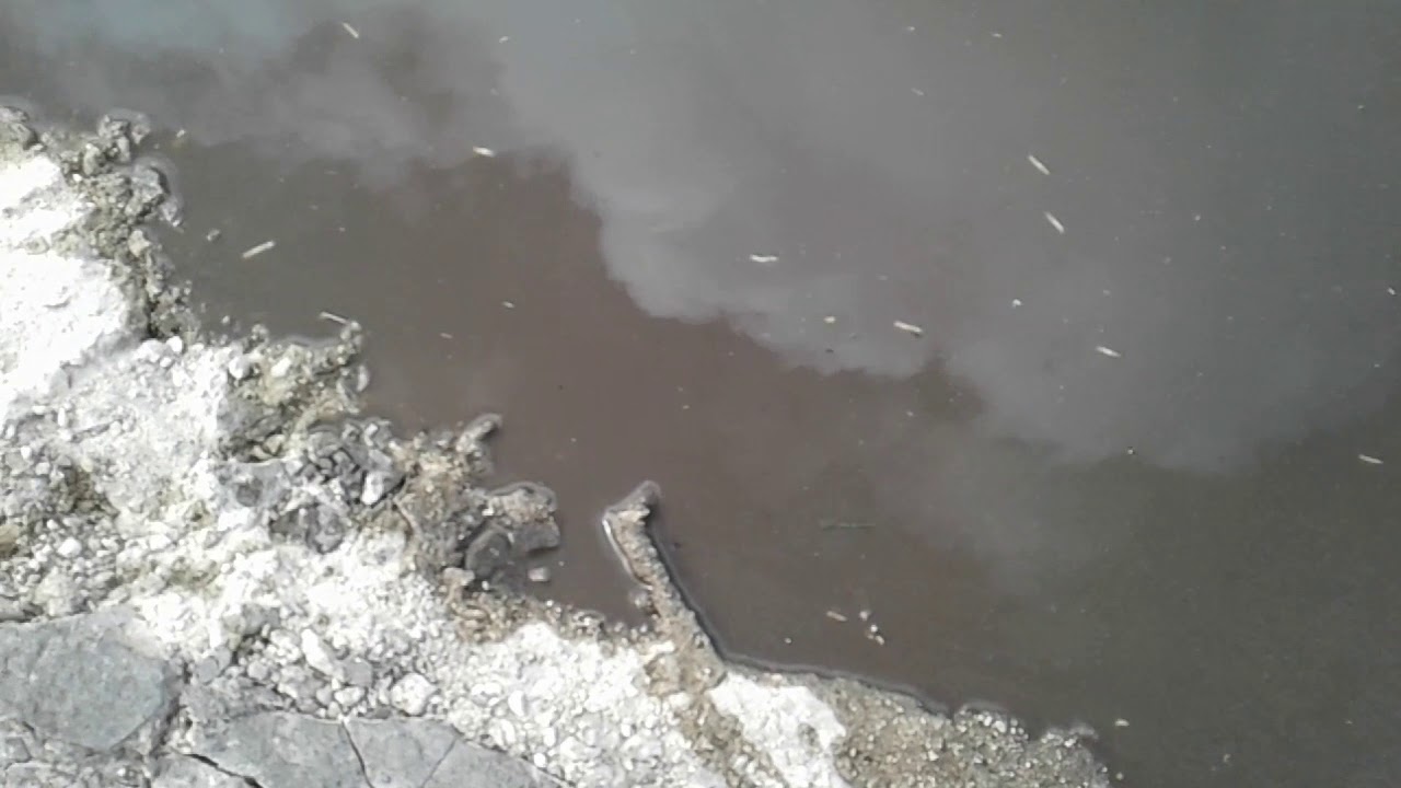 Cole's Cave Garbage Collection Friday 13th 2018