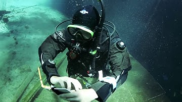 ScubaShearwater Perdix AI