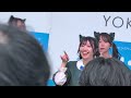 わーすた NEW にゃーくにゃくにゃ水族館2 20260426