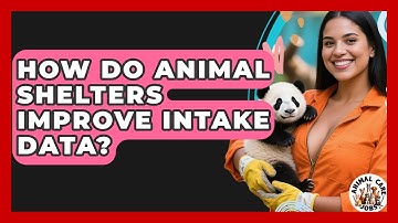 How Do Animal Shelters Improve Intake Data? - Animal Care Jobs