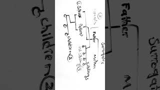 Public health sciences/Ethics FirstAid lectures (Surrogates decision maker)