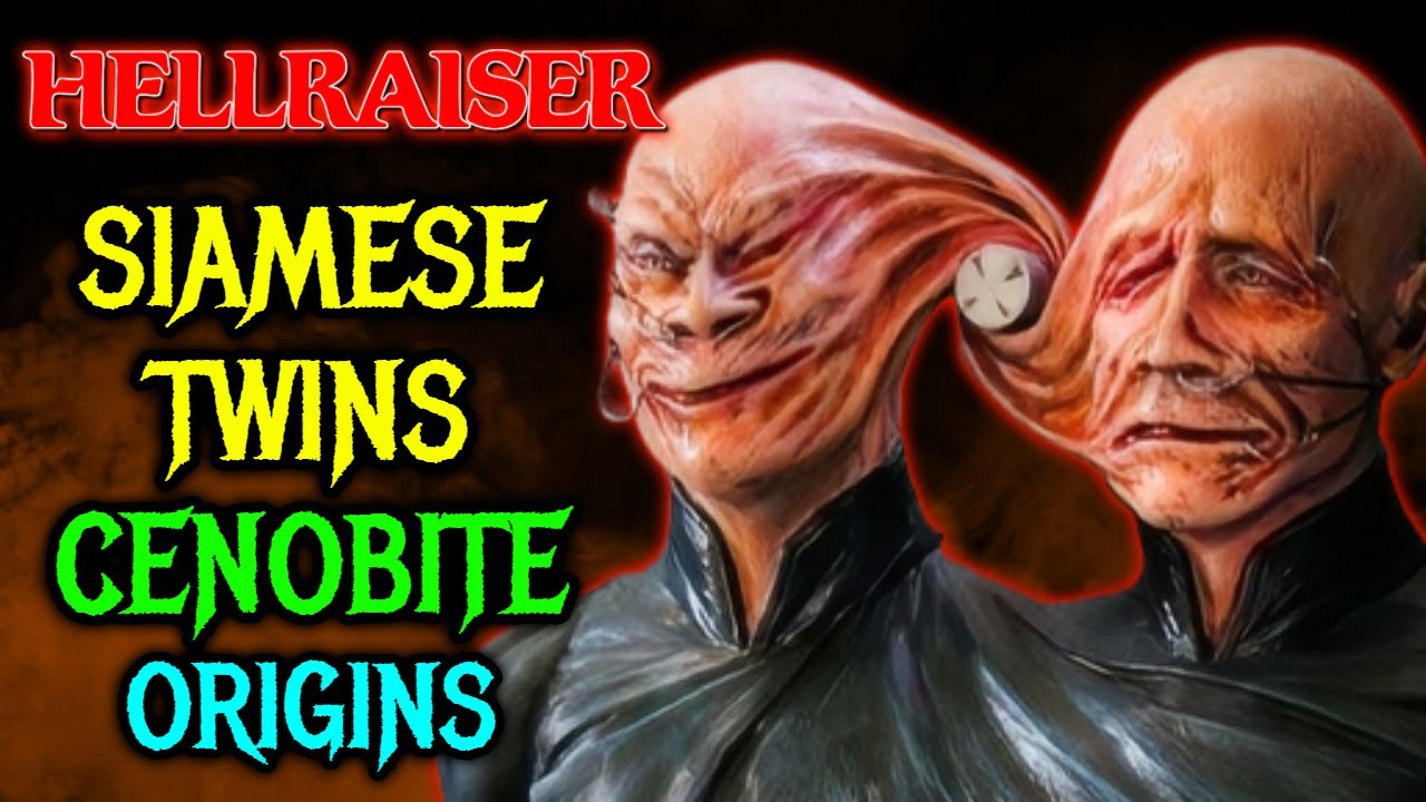 Siamese Twins Cenobite Origins - Twins Who Wanted To Remain Together Got Their Wish With Punishment