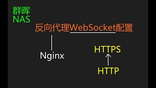【群晖NAS】用DSM内置的反向代理配置WebSocket。任意项目https访问