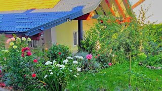 Šarenu Bašticu Gledao Sam Curicu..joso Božić I Lađevčani.braća Bajić Org. 4K..