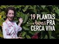 19 PLANTAS pra CERCAS-VIVAS