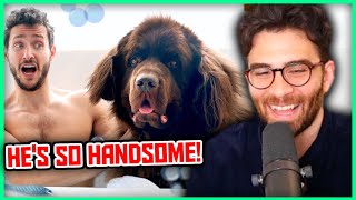 Grooming My Giant Dog In NYC | Hasanabi Reacts to Doctor Mike