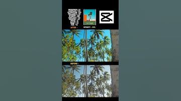 the best colour grading in capcut || colour correction #shorts