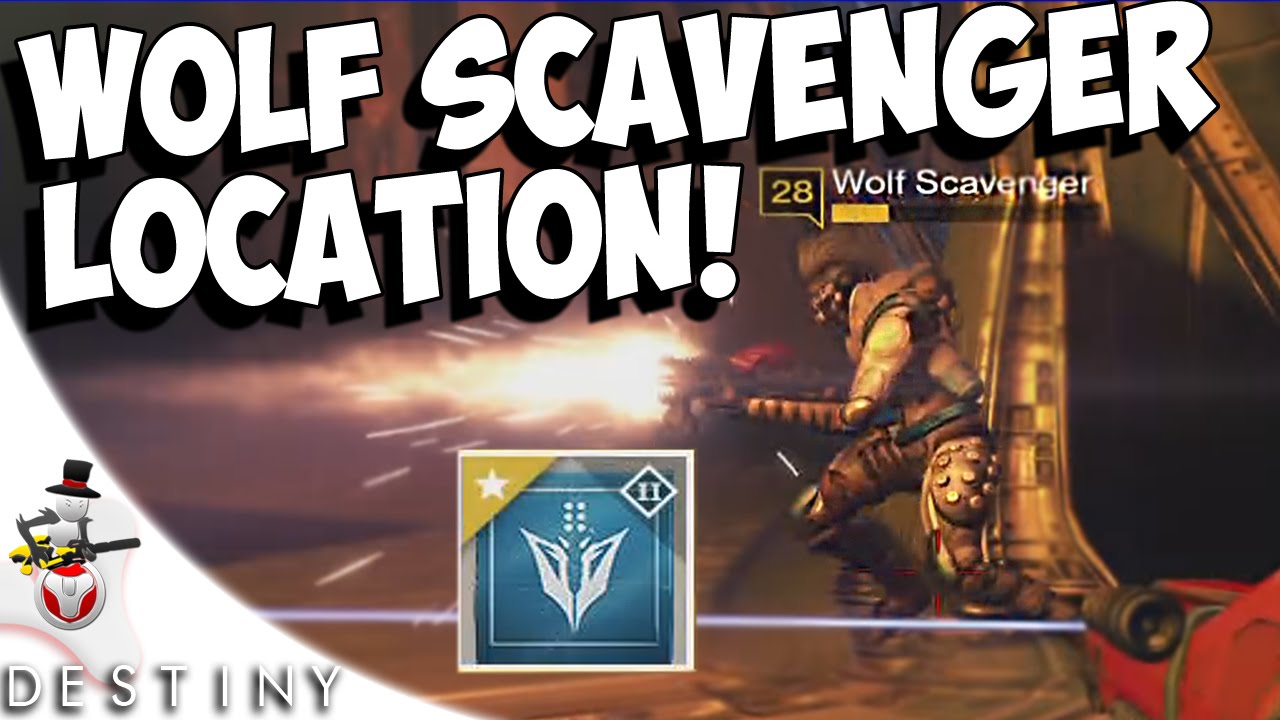 Wolf Scavenger Location - Hall Of Wisdom Tutorial Guide ...