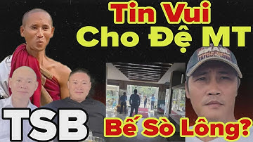 Tin Chuẩn 100% T Sư Bá, Sò Lông Đi Xa Liệu Có Bị Bế Như Lời Đồn?