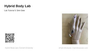Hybrid Body Lab Tutorials - Lab 5: Skin Sew