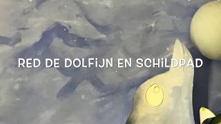 plastic soep red de dolfijn en schildpad