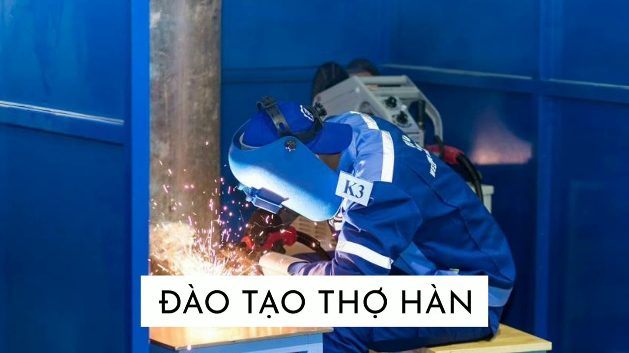 SHTC Việt Nam Introduction