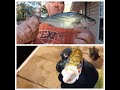 32 degree fishing