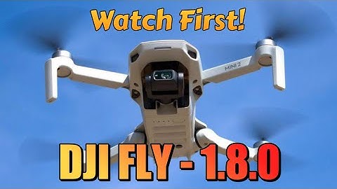 DJI FLY UPDATE 1.8.0 FLIGHT CHECK(DJI MINI 2 ON IOS)