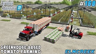 Industrial Tomato Cultivation: Building $1.8 Million Greenhouses | Elmcreek Farm | FS 22 | ep #160 screenshot 3