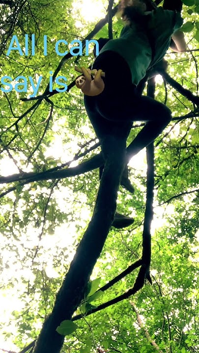 Climb some trees with me! #therianthropy #moss #therianpov #alterhuman ...