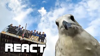 React: UNUSUAL MEMES COMPILATION V291