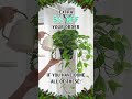 Extra 5% off for houseplant lovers #houseplants #plants #giveaway