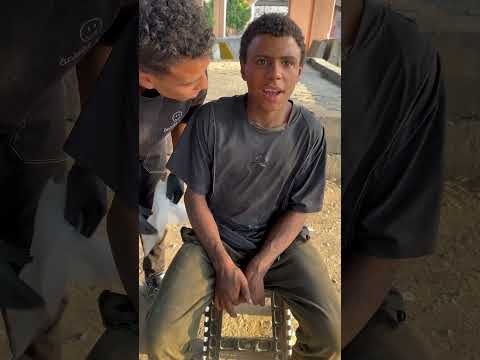 ربنا يقدرنى على فعل الخير ارسم ابتسامة Barbershop Shorts Funny خش شوف الفيديو