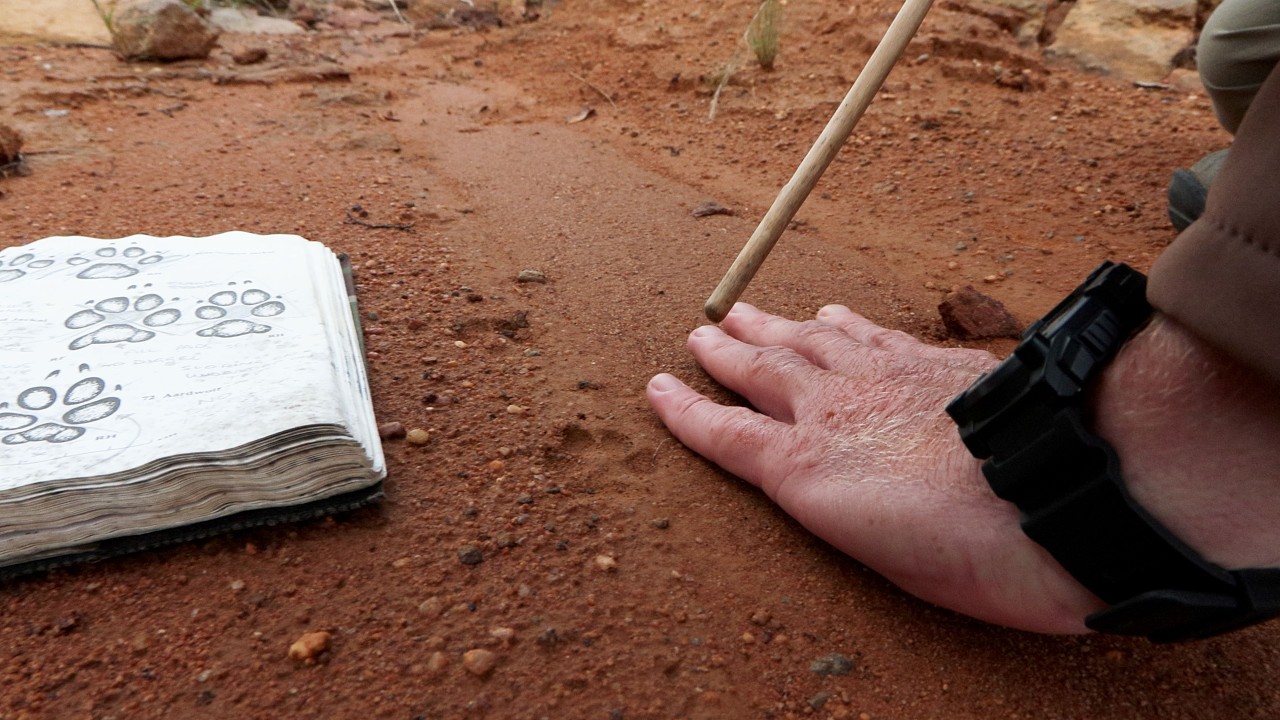 Tracks & truths: Decoding the bush