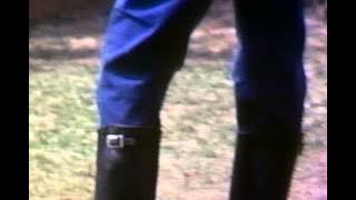 Take the Plunge and Plunged