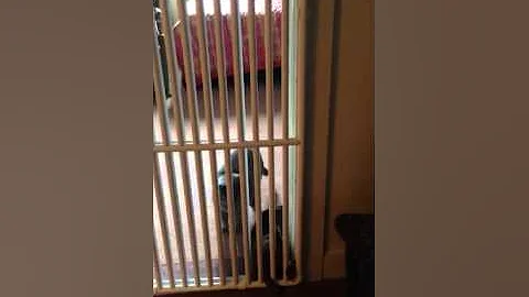 Romeo escapes