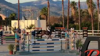 Konsberg Hh Z Oliva 2018