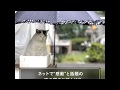 やさしさ溢れる愛しいへたれ猫”ぽー”