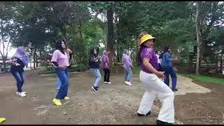 Swag Se Swagat Track 12 Vol 8 Belly Fit Dance Shimmers Dharmayanti