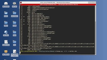 Analyzing a Malicious Word Document Demo