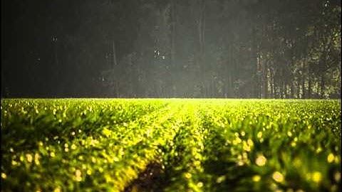 تلاوة للقارئ أحمد النفيسة ما تيسر من سورة النساء من 1 الى 42 (7)(9)1435