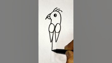 Parrot drawing easy #art #birddrawing #parrot #drawing #draw