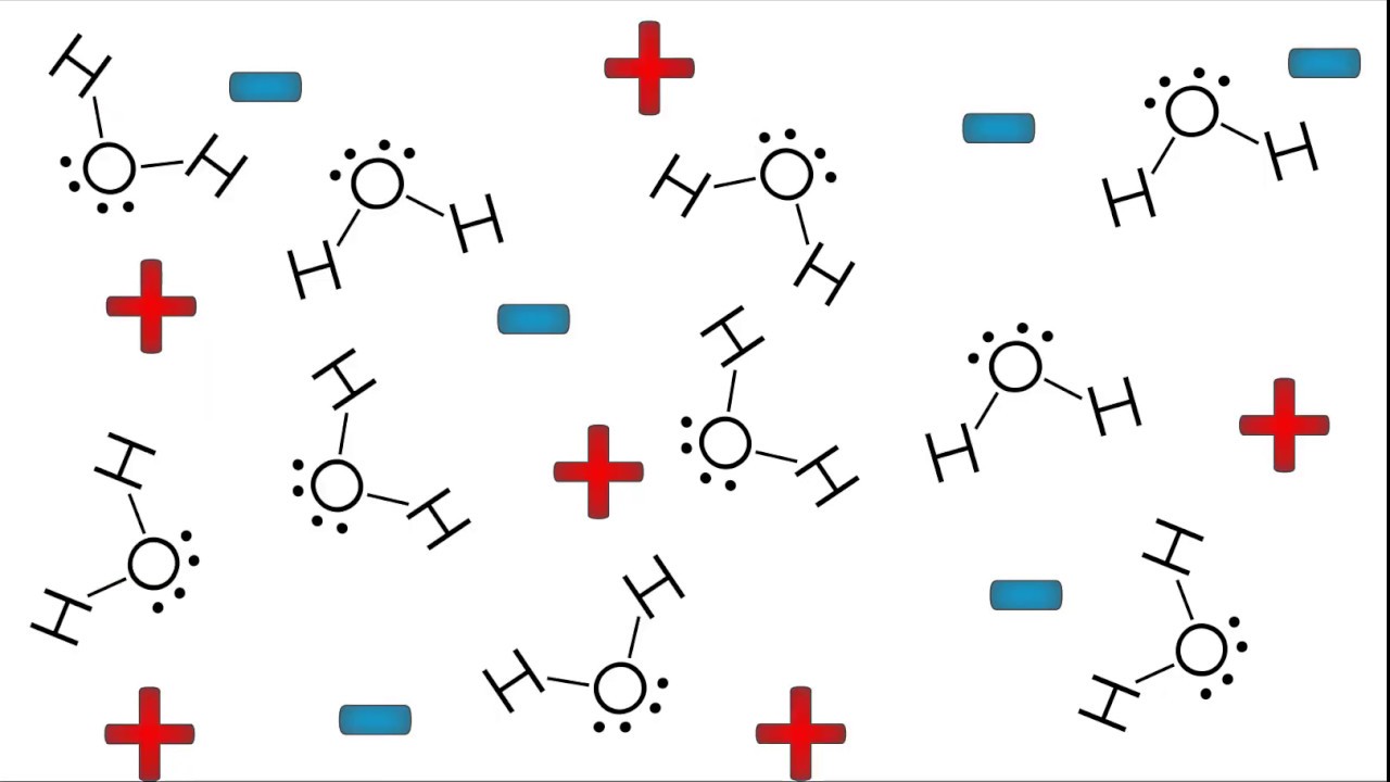 Water, the Universal Solvent - YouTube