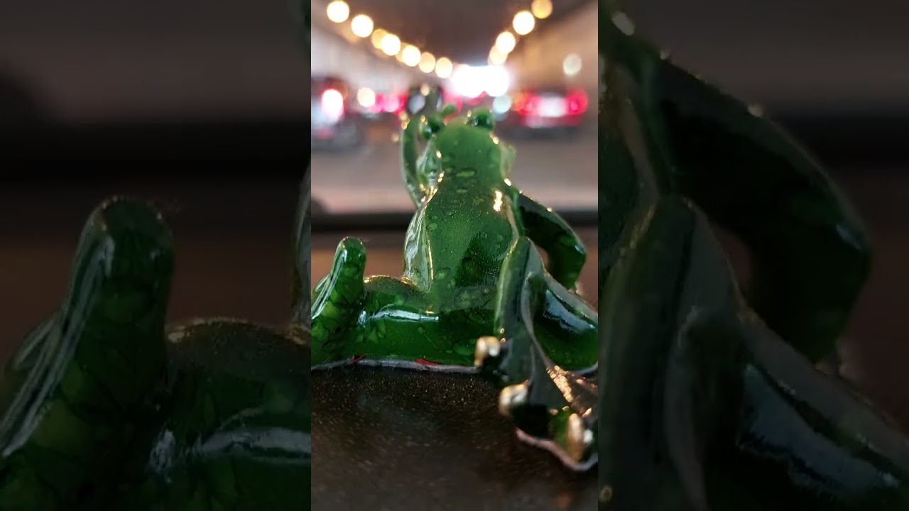 The Amazing Transformation of a sun-struck Frog!