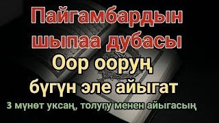 картинка: Пайгамбардын дубасы — 3 мүнөттө айыгасың! Угуп коюу эле жетиштүү