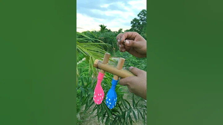 DIY Bamboo Creation with Colourful Balloon Slingleshot #Diy #Slingshot #bamboo