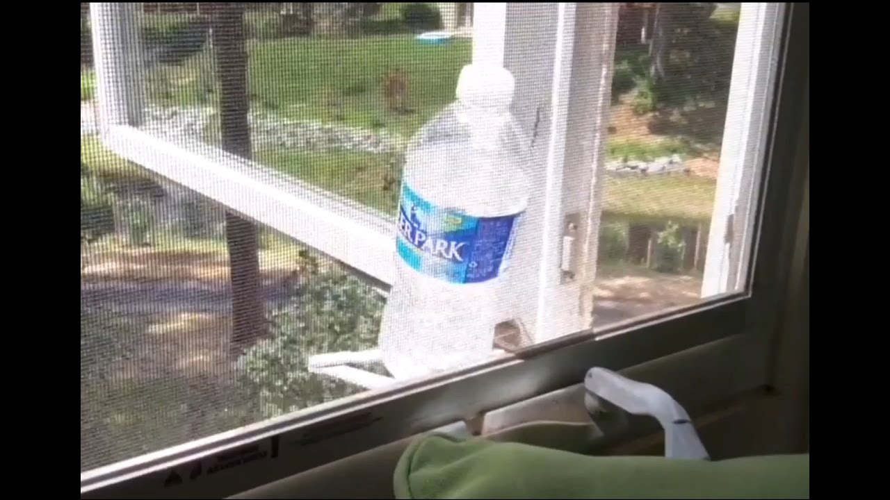 INSANE BOTTLE FLIPS WITH FreshNSalty Fishing!!!