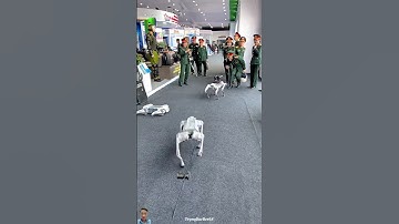 BỘ QUỐC PHÒNG VIỆT NAM NGHIÊN CỨU THÀNH CÔNG ROBOT CHÓ TRIỂN LÃM QUỐC TẾ