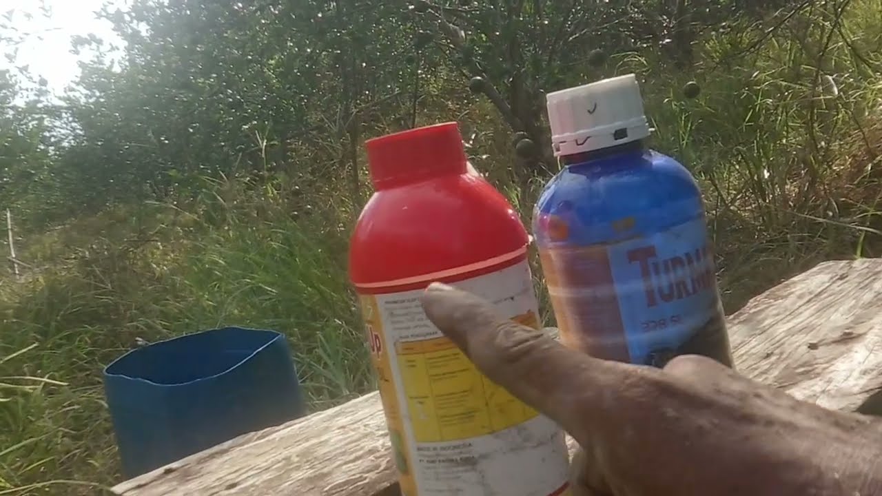 Penggunaan Herbisida pada kebun jeruk