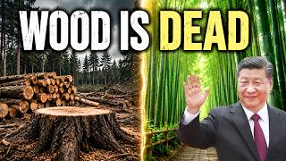 China Just Replaced Wood Forever — Engineers Say This Changes Everything