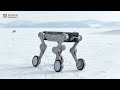 Robot Dog's Ice and Snow Adventure