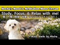 Meditation BGM Study/Work/Relax [勉強/作業/リラックスBGM] Dream Album