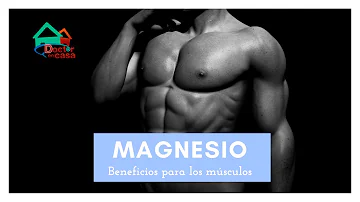 ¿Qué tipo de magnesio relaja los músculos?